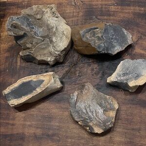 Natural Chert Flint Rock Picked From Remote Location in Tennessee Mountains
